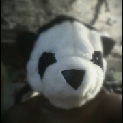 Avatar de sprache