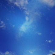 Avatar de joel