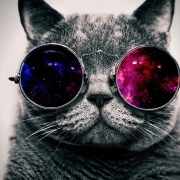 Avatar de Toniy Bocoya
