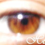 Avatar de AltaFlow