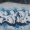 Perfil de sqksero