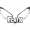 Perfil de Fénix 