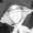 saiko less