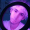 Perfil de Annarce