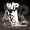 Perfil de Wise