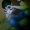 Perfil de X4ND3R MC