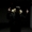 Gnesis