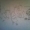 Perfil de Brug