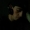 Perfil de cuda