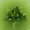 Perfil de ShADoWGrEeN