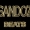 Perfil de Sandoz