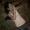 Perfil de Charli G Lyn