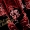 Perfil de ache-a