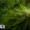 Perfil de Verde Producciones