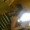 Perfil de criski97