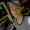 Perfil de Mckire