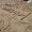 Perfil de Rikho- BDTrash-