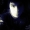 Perfil de Huit_zoo