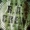 R.A.CREW