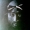 Perfil de FiguRín Remix