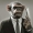 Perfil de DaFreshMonkey