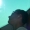 Perfil de puga