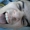 Perfil de Sofoco R11