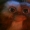 Perfil de ironkf