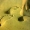 Perfil de Evil15