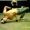 Perfil de B-BoY_MaNG