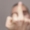 Perfil de NastyBotProductions