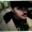 Perfil de Bigfatty24