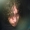 Perfil de El_Lechuga
