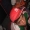 Perfil de dAvEmC