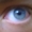 Perfil de gesh