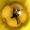 Perfil de JamLBC
