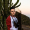 Perfil de BySol