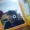 Perfil de euge.wendel