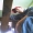 Perfil de Desion