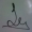 Perfil de Caparroso