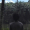 Perfil de luz poética 