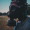 Perfil de Apocalipsys_
