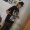 Perfil de Romeo