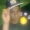 Perfil de F.T.R.