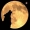 Perfil de Wolfy