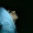 Perfil de Koodi Myk