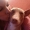 Perfil de zizZY