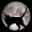 Perfil de BlackPanther