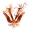 Perfil de Voicot