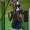 Perfil de ellolo